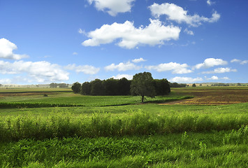 Image showing summer landscape