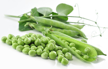 Image showing peas