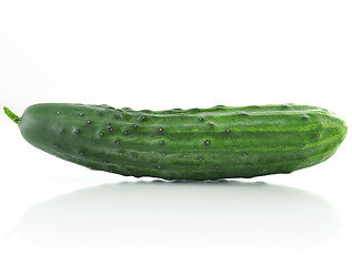 Image showing fresh cucumber 