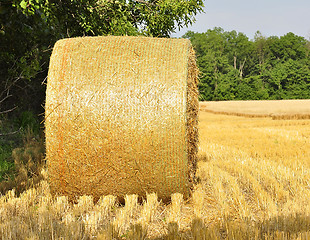 Image showing Hay bails in a field 