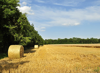 Image showing Hay bails in a field 