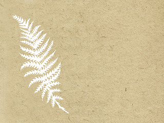 Image showing sheet fern on grunge background