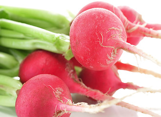 Image showing radish