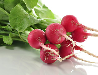 Image showing radish