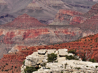 Image showing Grand Canyon