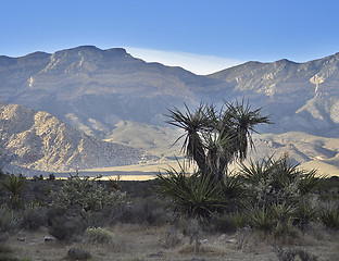 Image showing Red Rock Canyon