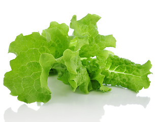 Image showing lettuce 