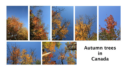 Image showing  seven autumn nature scape