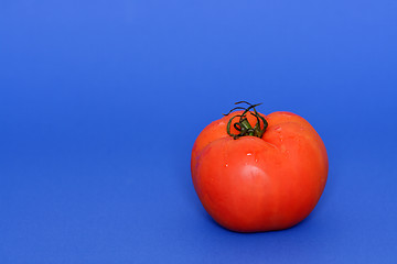 Image showing Tomato