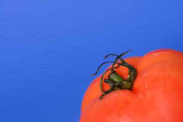 Image showing Red tomato