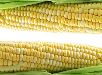 Image showing fresh corn