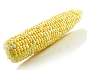 Image showing fresh corn