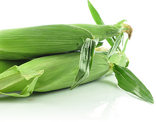 Image showing fresh corn 