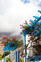 Image showing Bougainvillea flowers, Perissa, Santorini, Greece