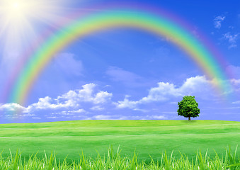 Image showing Rainbow over a green glade