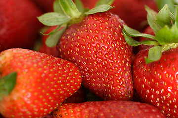 Image showing Red strawberries