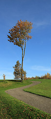 Image showing golf cart road