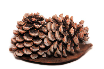 Image showing Pine cones