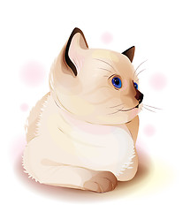 Image showing  portrait of blue-eyed  little Siamese  kitten. Watercolor style