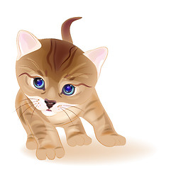 Image showing hand drawn  portrait of  ginger tabby kitten. Watercolor  style