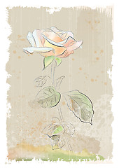 Image showing vintage illustration of  pink rose