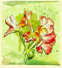 Image showing hand drawn red geranium flower