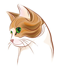 Image showing hand drawn portrait of  ginger tabby cat