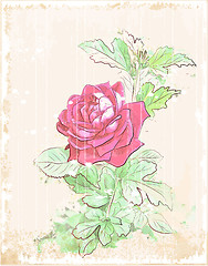 Image showing vintage red rose