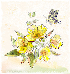 Image showing yellow field flowers and butterfly