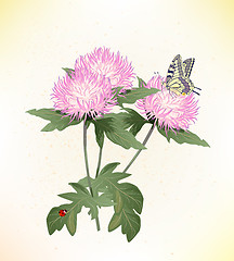 Image showing pink asters and butterfly