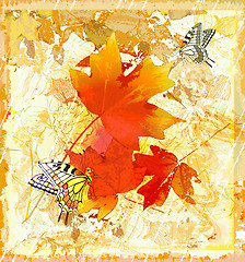 Image showing autumnal  grunge background with  red maple leaves and butterfli