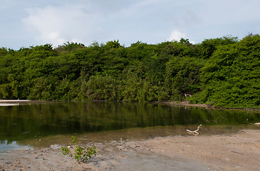 Image showing Tropical lake