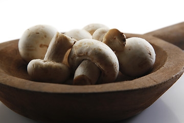 Image showing Fresh mushrooms.                 