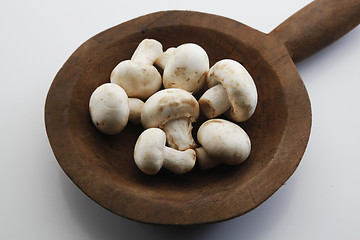 Image showing Fresh mushrooms.                 