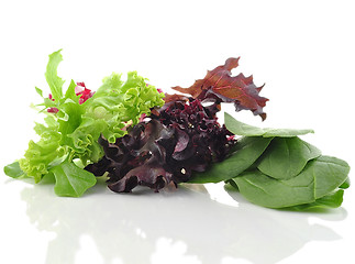 Image showing salad leaves