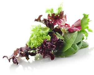 Image showing salad leaves