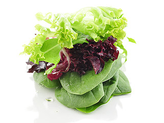 Image showing salad leaves