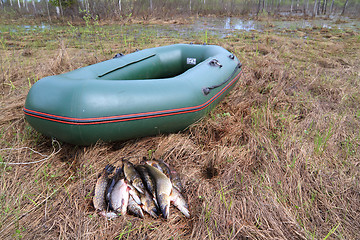 Image showing river fish near rubber boat