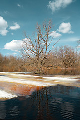 Image showing spring flood in wood