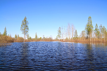 Image showing timber lake