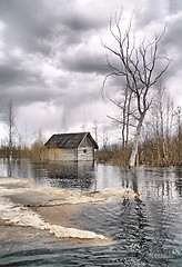 Image showing old wooden house in water