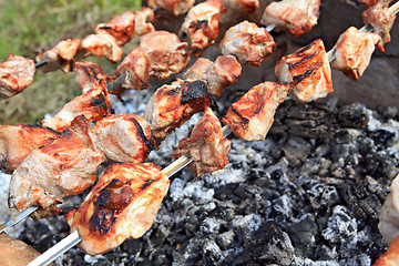 Image showing shashlik