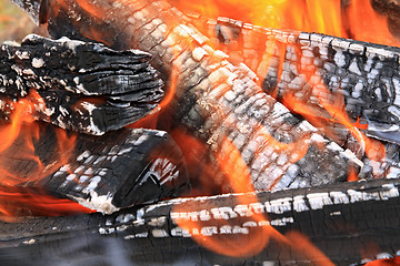 Image showing burninging firewood in campfires