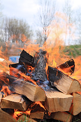 Image showing burninging firewood in campfires