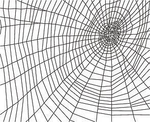 Image showing Cobweb