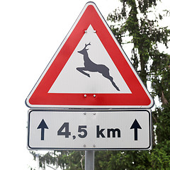 Image showing Wildlife danger sign