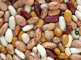 Image showing Beans salad