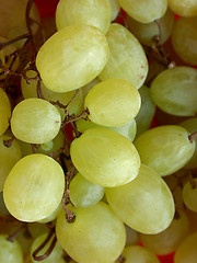 Image showing Grape picture
