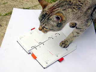 Image showing Cat reading notekeeper