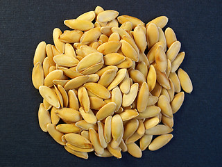 Image showing Melon seeds